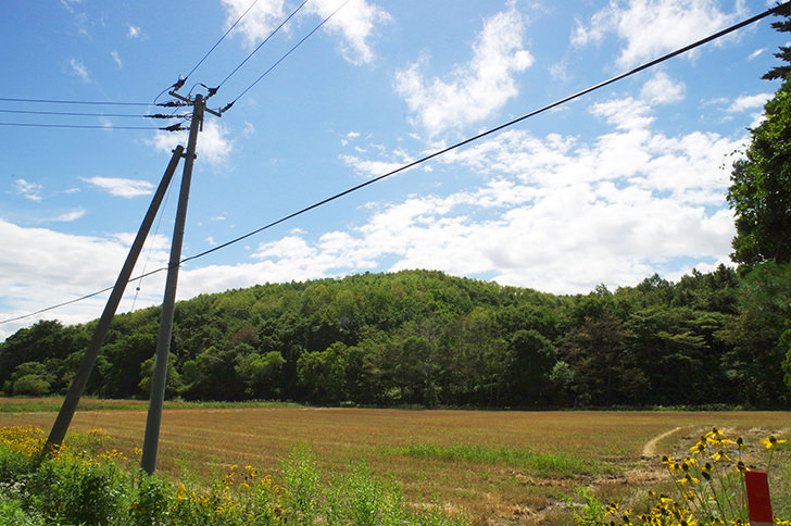 農地転用、農振除外申請、農地法関連手続き